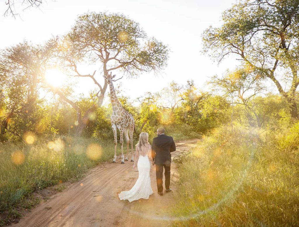 safari wedding photos